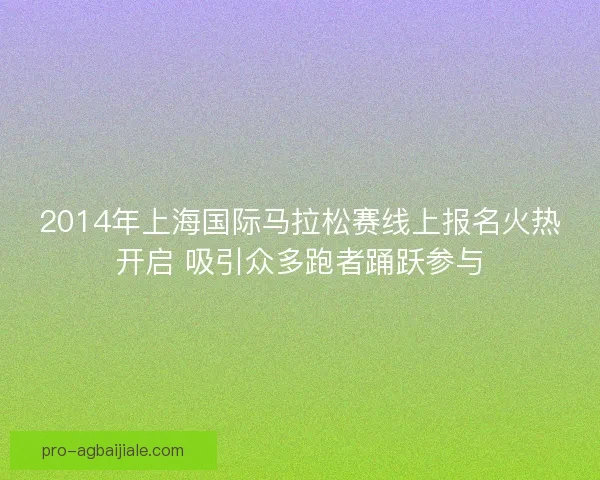 2014年上海国际马拉松赛线上报名火热开启 吸引众多跑者踊跃参与